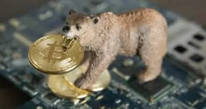Kripto Kışı Bu Yıl Bitiyor Mu? Uzmanlar Yorumladı! 8 12