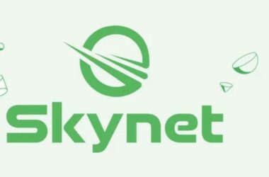 blockchain şirketi skynet labs i̇flas ediyor! adsiz tasarim 2022 08 13t222151.934