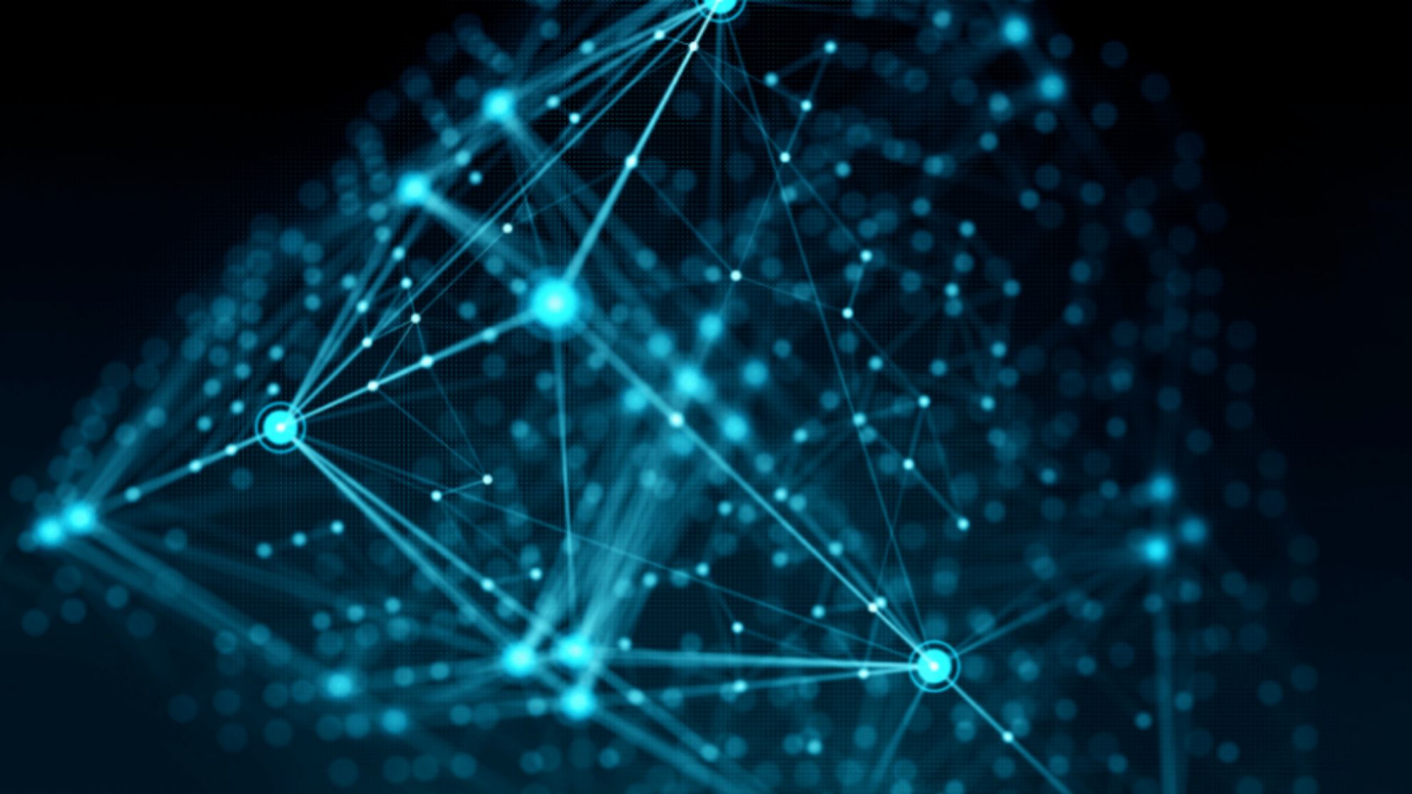 Polyon Kurucusundan 50 Milyon Dolarlık Fon!