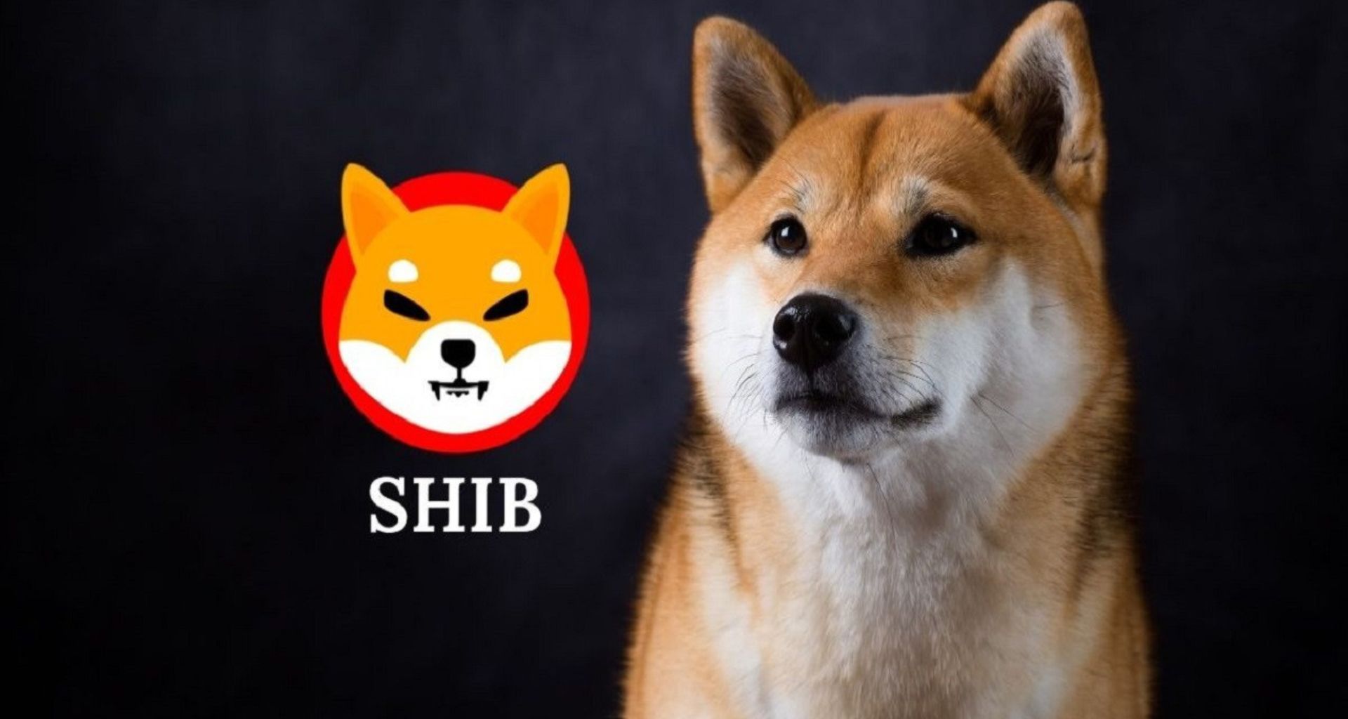 Balinalar, Bu Sebeple Shiba Inu Alımı Yapıyor!