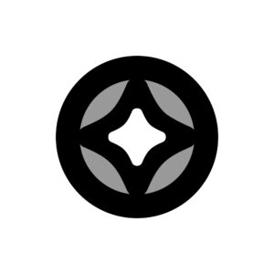 stg coin