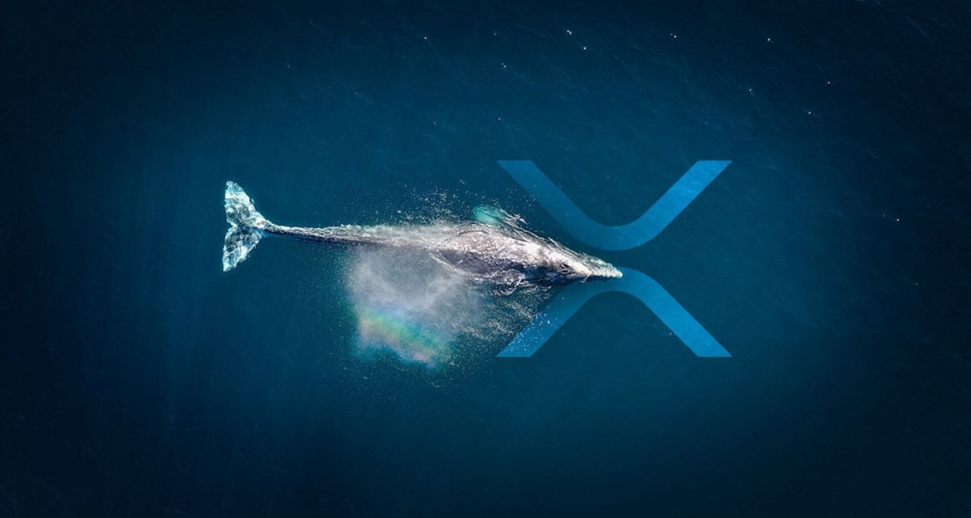 550 Milyonluk XRP Transferi Gerçekleştirildi!