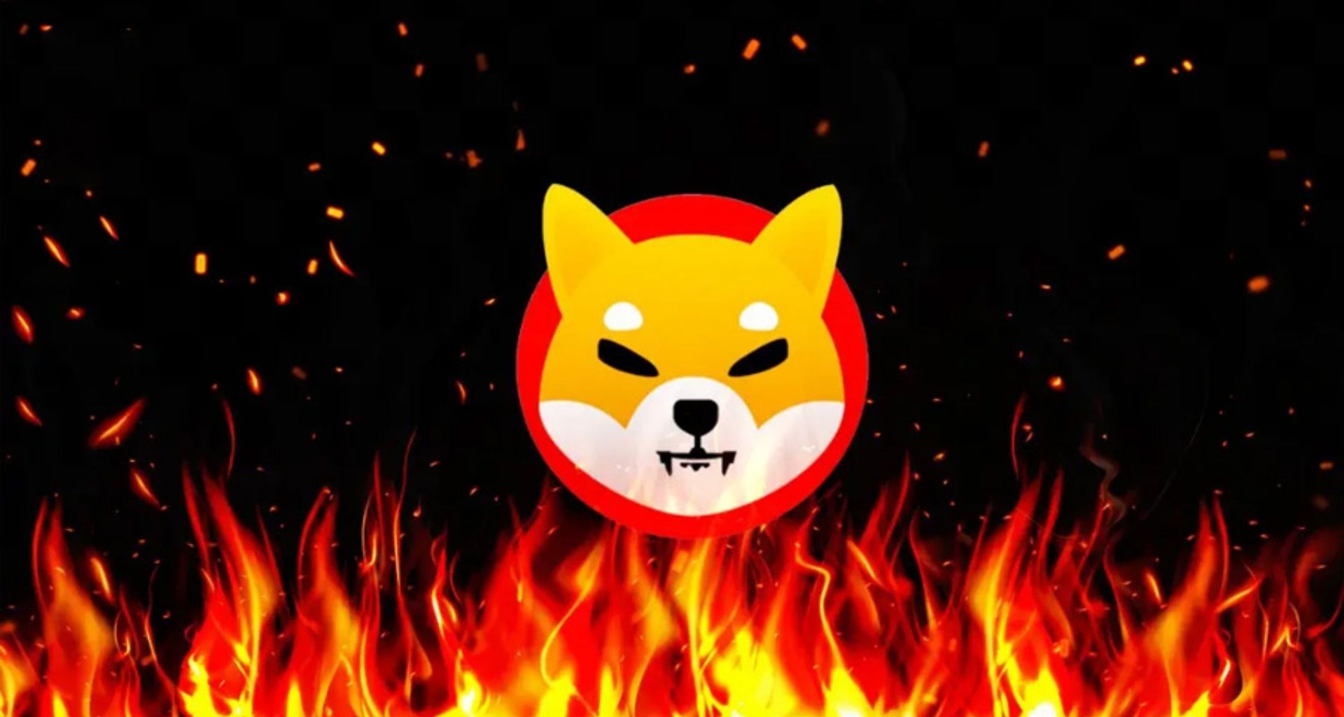 Bu Altcoinde Yakım Hızla Artıyor!