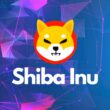 shiba inu'de yükseliş devam ediyor! adsiz tasarim 2022 09 13t231711.914