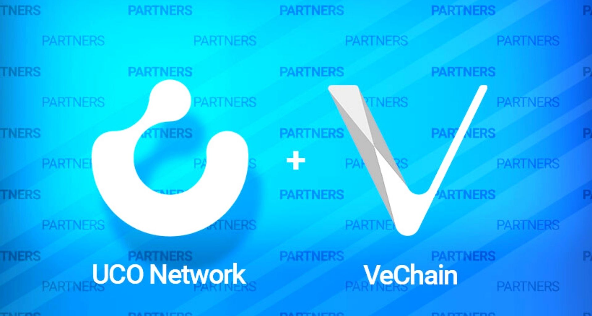 VeChain ve UCO Network İşbirliği için El Sıkıştı!