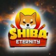 shiba eternity, play store’da yayına girdi! adsiz tasarim 2022 09 20t050407.797
