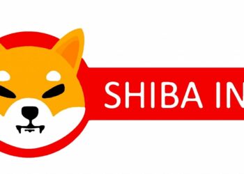 ABD’nin En Büyük 3. Mobilya Perakendecisi Shiba Inu’yla Ödeme Alacak!