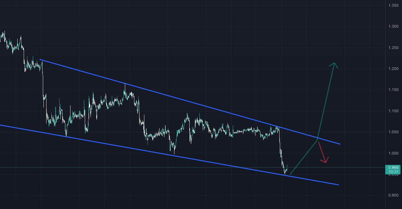 lisk-analiz