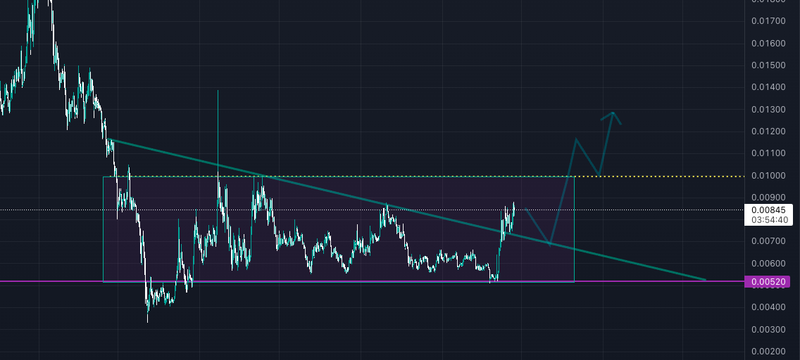 Haftanın En Çok Kazandıran Altcoin'i! rsr analiz