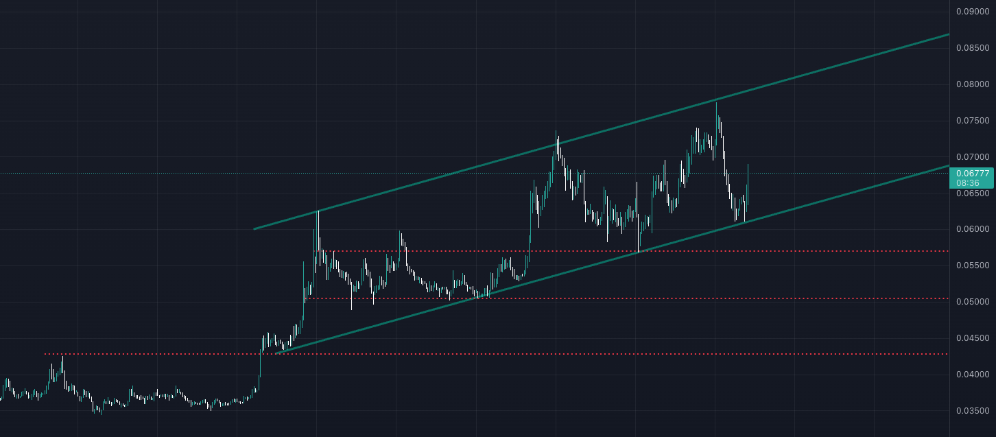 rvn-coin-ravencoin