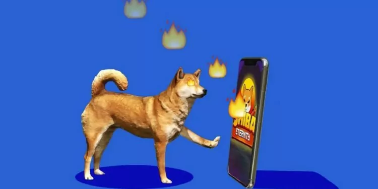 Shiba Inu Oyunu "Shiba Eternity" İçin Sayılı Günler Kaldı! 1 Shiba Inu Oyunu “Shiba Eternity” İçin Sayılı Günler Kaldı!