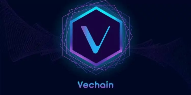 VeChain Avrupa’da İşe Alımlara Başlıyor! 1 VeChain Avrupa’da İşe Alımlara Başlıyor!