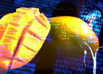 Mango’yu Hackleyen Avraham Eisenberg’den Açıklamalar!