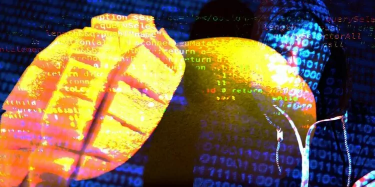 Mango’yu Hackleyen Avraham Eisenberg’den Açıklamalar!