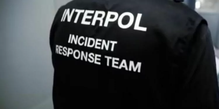 Interpol, Kripto Suçları için Özel Bir Ekip Kuruyor! 1 Interpol, Kripto Suçları için Özel Bir Ekip Kuruyor!