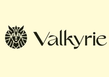 Kripto Varlık Yöneticisi Valkyrie, En Önemli Yatırımcısını Kaybetti!