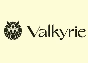 Kripto Varlık Yöneticisi Valkyrie, En Önemli Yatırımcısını Kaybetti!