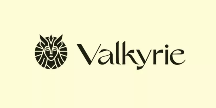 Kripto Varlık Yöneticisi Valkyrie, En Önemli Yatırımcısını Kaybetti!