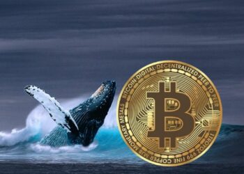 32.000 Bitcoin Bulunan Cüzdan, 4 Yıl Sonra Harekete Geçti!