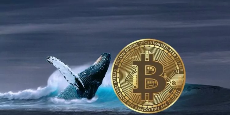 32.000 Bitcoin Bulunan Cüzdan, 4 Yıl Sonra Harekete Geçti!