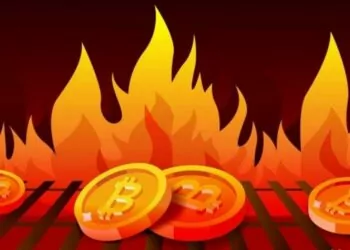 Bu Altcoin 147 Milyon Dolar Değerinde Token Yakacak!