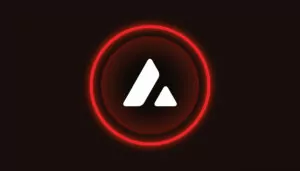 Avalanche Launchpad
