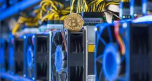 Ayı Piyasası Bitiyor Mu? Bitcoin Madencilerinin Satışları %50 Düştü! ayi piyasasi bitiyor mu bitcoin madencilerinin satislari yuzde 50 dustu