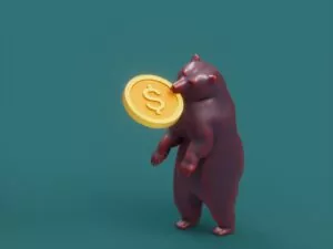 Ayı Sezonu Nedir