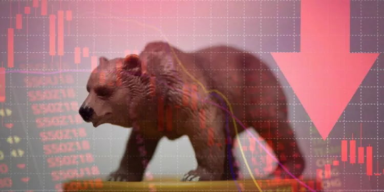 Ayı Sezonu Nedir? 1 Ayı Sezonu Nedir