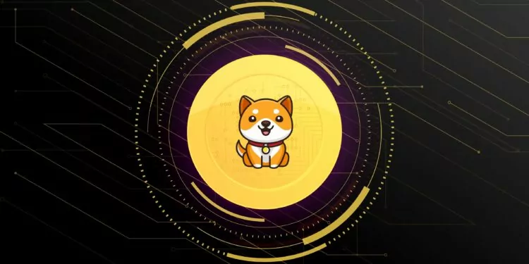 Baby Doge Nedir? Baby Doge ile İlgili Bilmeniz Gereken 5 Şey 1 baby doge