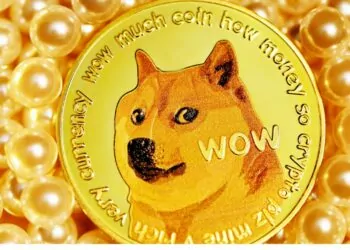 Balinalar, Rekor Dogecoin Hamlesiyle Dikkat Çekti!