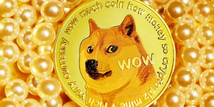 Dogecoin'de Yön Neresi? 1 Balinalar, Rekor Dogecoin Hamlesiyle Dikkat Çekti!