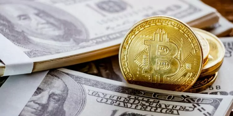 Bitcoin (BTC) Yatırımcılarının Yarısından Fazlası Zarar Etti! 1 Bitcoin (BTC) Yatırımcılarının Yarısından Fazlası Zarar Etti!