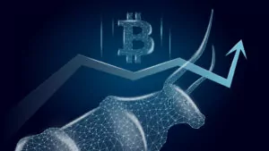 Bitcoin boğa sezonu