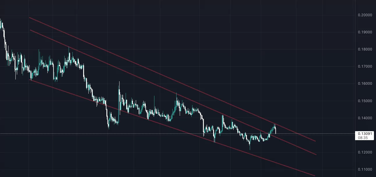 ceek-4h