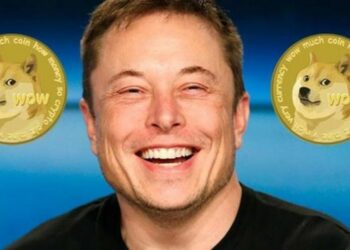 Dogecoin (DOGE), Elon Musk’ın Bir Girişiminde Daha Kullanılacak!