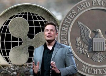 Elon Musk, Ripple ve SEC Davasını Değerlendirdi!