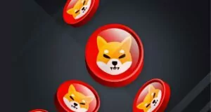 SHIB Metaverse Ekibi, Yeni Bir Paylaşımda Bulundu shib metaverse ekibi yeni bir paylasimda bulundu