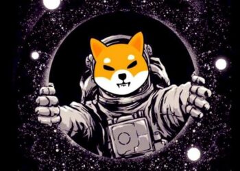 SHIB Metaverse Ekibi, Yeni Bir Paylaşımda Bulundu