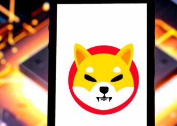 SHIB Yakım Oranı, %395’e Yükseldi!