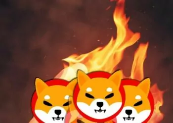 SHIB Yakma Oranlarında Düşüş Yaşanıyor!