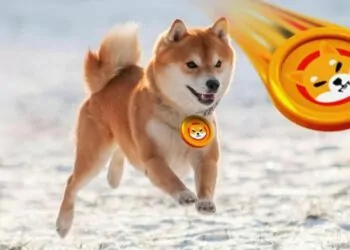 Shiba Inu