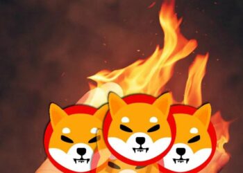 Shiba Inu Yakımları, Fiyatı Artırıyor Mu? Shiba Inu’da Son Durum!