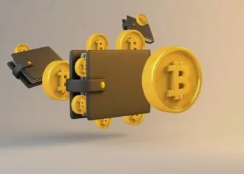 soğuk cüzdan nedir?