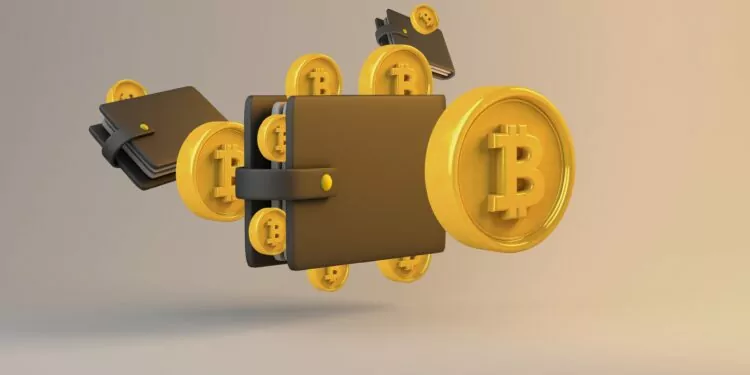 soğuk cüzdan nedir?