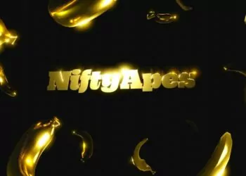 NiftyApes, 4.2 Milyon Dolar Fon Topladı!