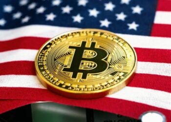 Amerikalılar Kripto Para Düzenlemeleriyle İlgili Ne Düşünüyor?