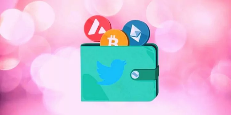 Twitter Kripto Cüzdanı Projesine Devam Etmeyecek mi?
