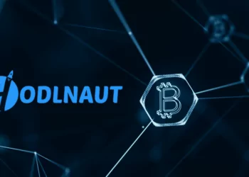 Kripto Borç Veren Hodlnaut Dolandırıcılıkla Suçlanıyor