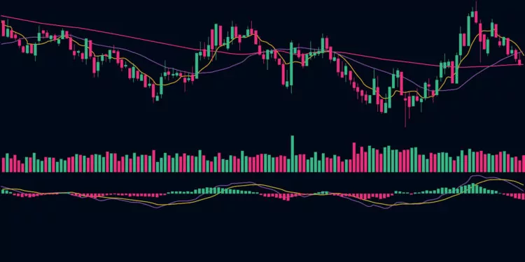 Kriptoda Destek ve Direnç